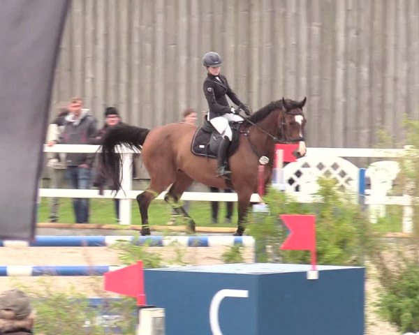 Reitturnier Ladelund 2020