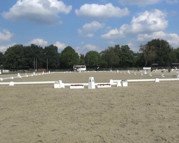 Reitturnier Langenfeld - Gut Langfort 2020