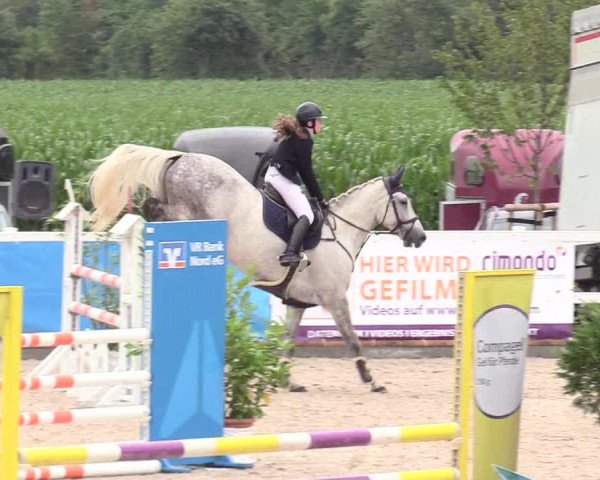 Reitturnier Ladelund 2020