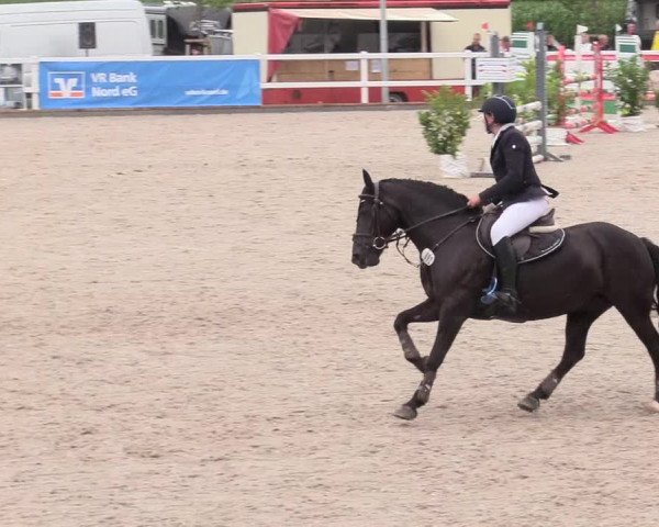 Reitturnier Ladelund 2020