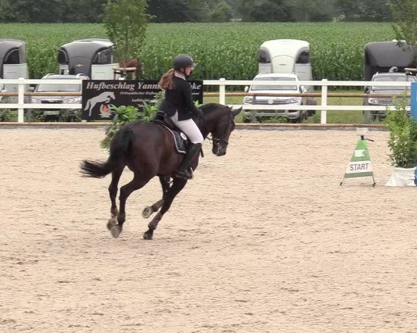 Reitturnier Ladelund 2020