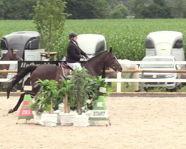 Reitturnier Ladelund 2020
