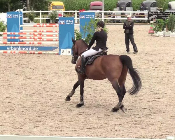 Reitturnier Ladelund 2020
