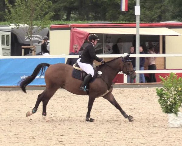 Reitturnier Ladelund 2020