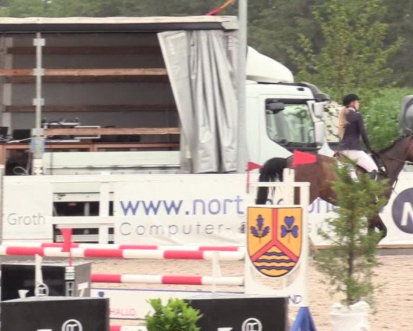 Reitturnier Ladelund 2020