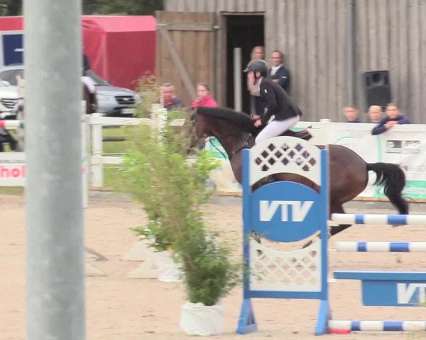 Reitturnier Ladelund 2020