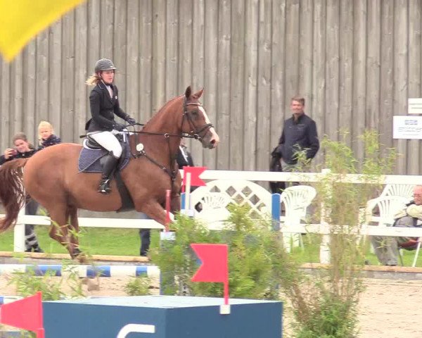 Reitturnier Ladelund 2020