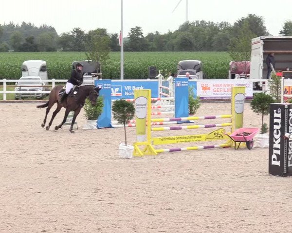 Reitturnier Ladelund 2020