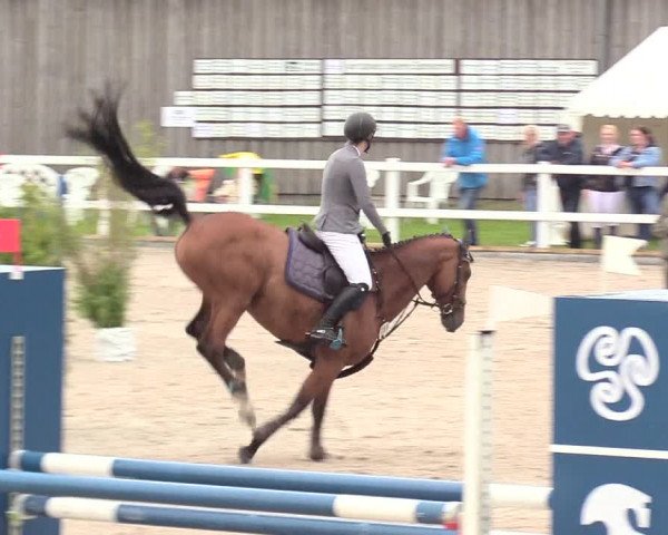 Reitturnier Ladelund 2020