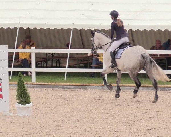 Reitturnier Ladelund 2020