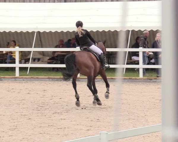 Reitturnier Ladelund 2020