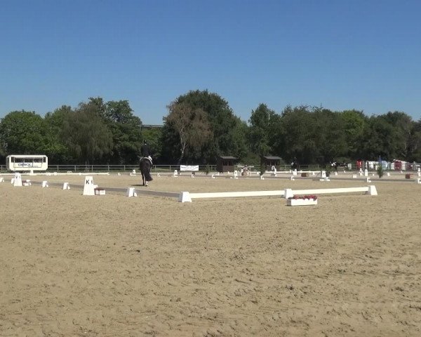 Reitturnier Langenfeld - Gut Langfort 2020
