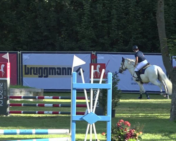 Reitturnier Wil 2020
