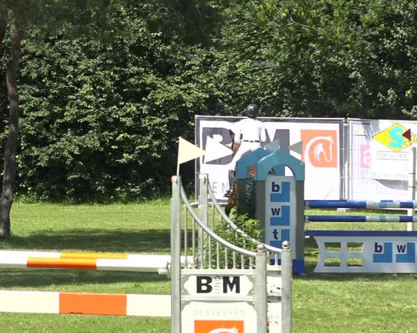 Reitturnier Wil 2020