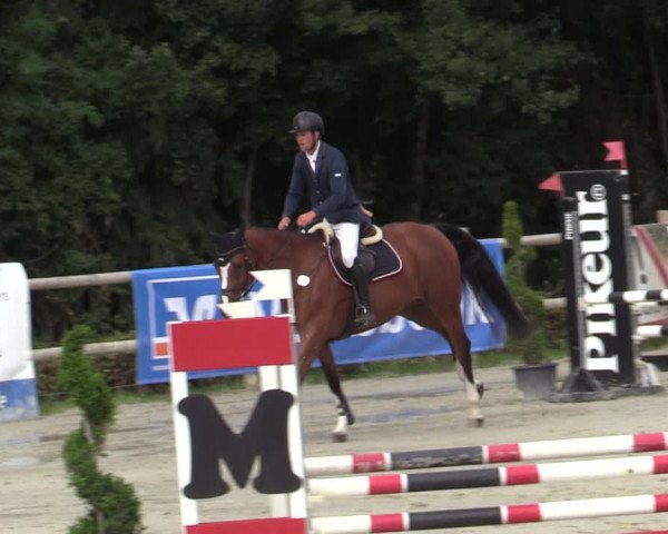Reitturnier Vlotho-Exter 2020