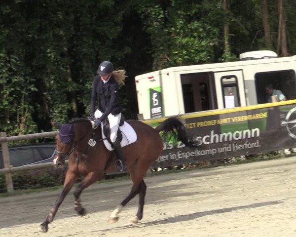 Reitturnier Vlotho-Exter 2020