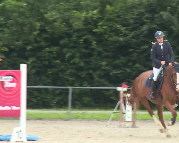 Reitturnier Rot am See- Musdorf 2020