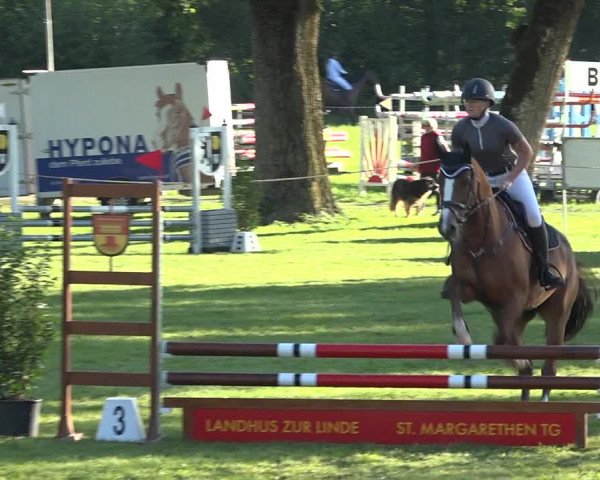 Reitturnier Wil 2020