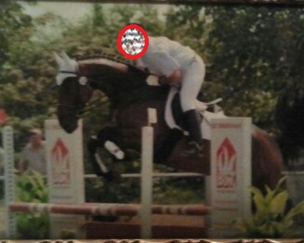 dressage horse Lupo (Württemberger, 2003, from Lanceur)