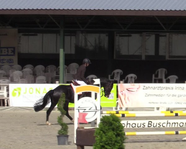 Reitturnier Vlotho-Exter 2020