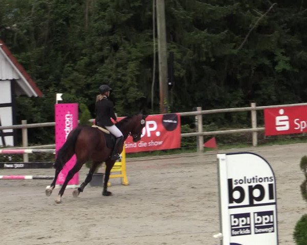 Reitturnier Vlotho-Exter 2020