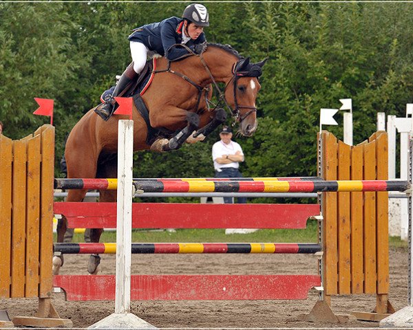 horse Kairo vom Schlösslihof (Swiss Warmblood, 2002, from Karondo vom Schlösslihof)