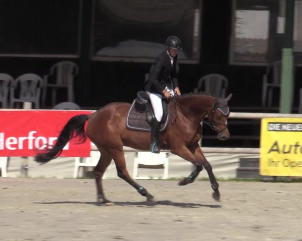 Reitturnier Vlotho-Exter 2020