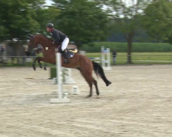 Reitturnier Rot am See- Musdorf 2020