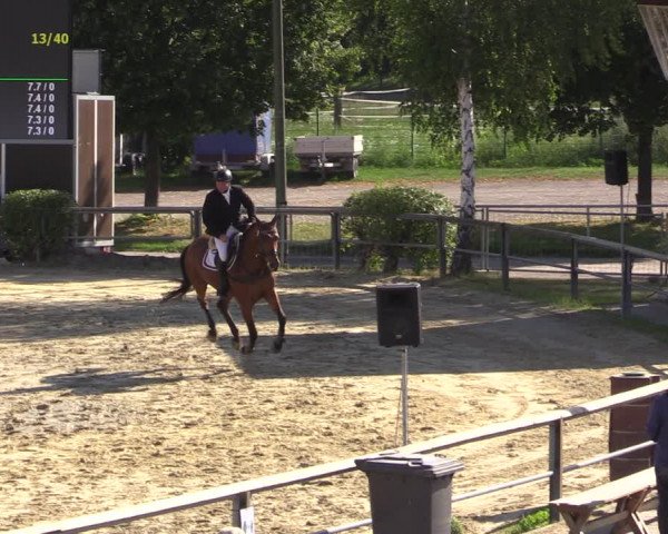Reitturnier Kamen 2020