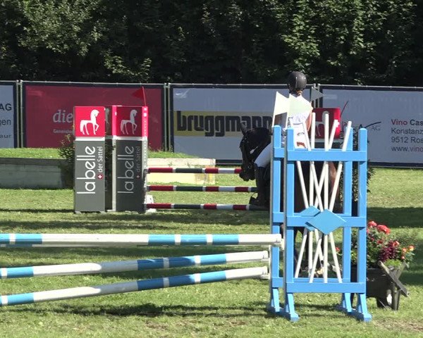 Reitturnier Wil 2020