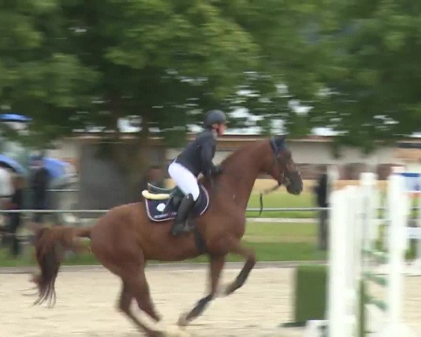 Reitturnier Rot am See- Musdorf 2020