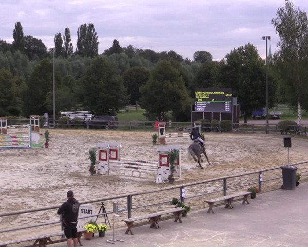 Reitturnier Kamen 2020