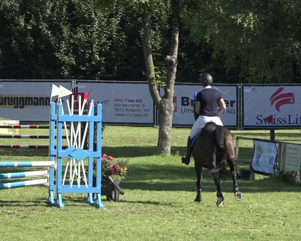 Reitturnier Wil 2020