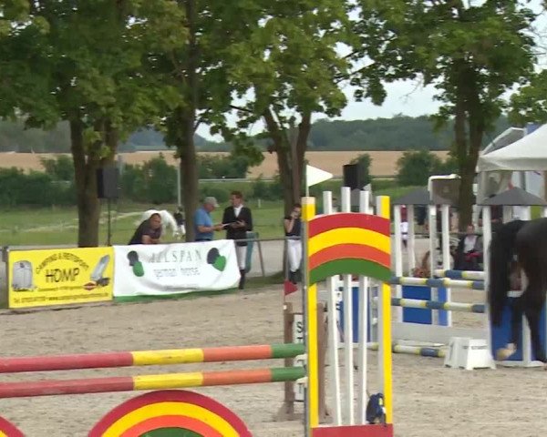 Reitturnier Rot am See- Musdorf 2020