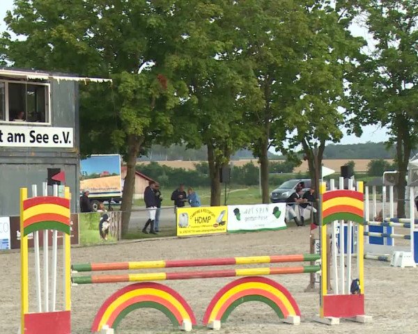 Reitturnier Rot am See- Musdorf 2020