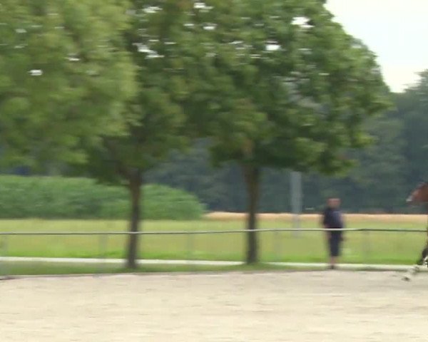 Reitturnier Rot am See- Musdorf 2020