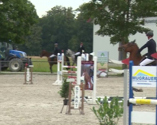 Reitturnier Rot am See- Musdorf 2020