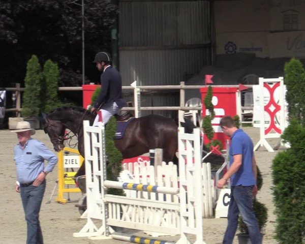 Reitturnier Vlotho-Exter 2020