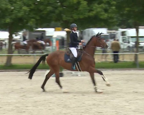 Reitturnier Rot am See- Musdorf 2020