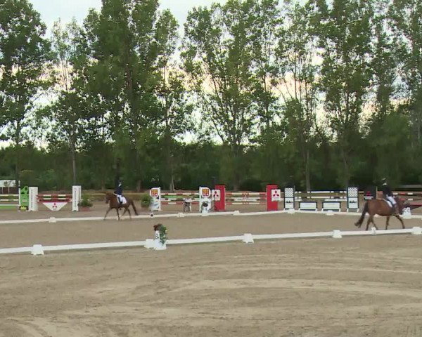 Reitturnier Kleinostheim/Ufr. 2020