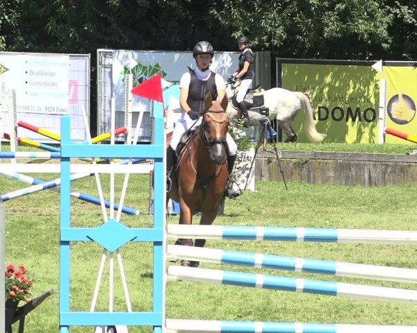 Reitturnier Wil 2020