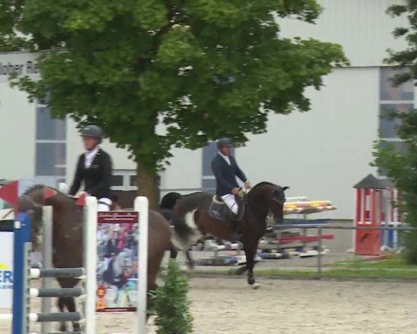 Reitturnier Rot am See- Musdorf 2020
