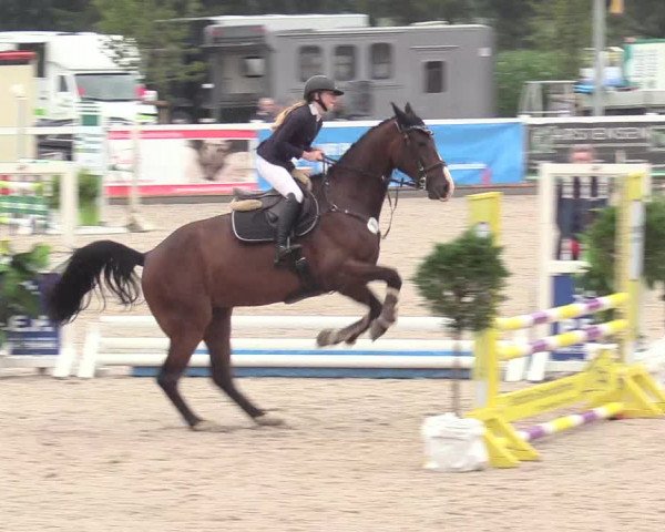 Reitturnier Ladelund 2020