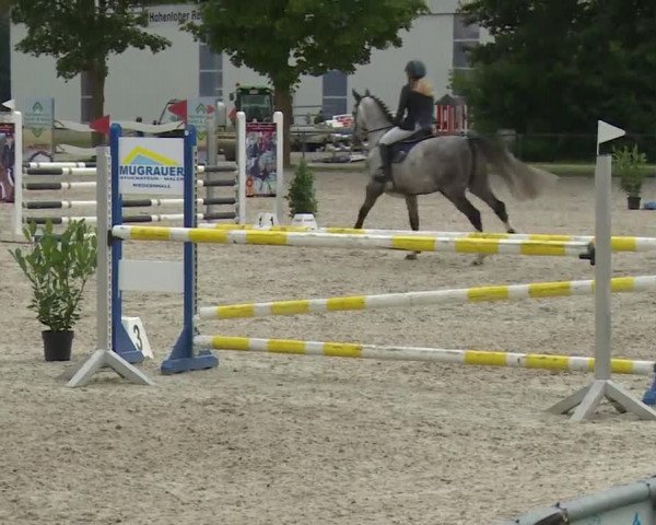 Reitturnier Rot am See- Musdorf 2020