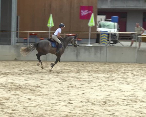 Reitturnier Schwyz 2020