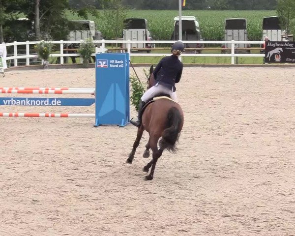 Reitturnier Ladelund 2020