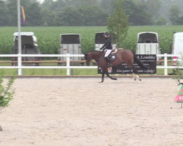 Reitturnier Ladelund 2020