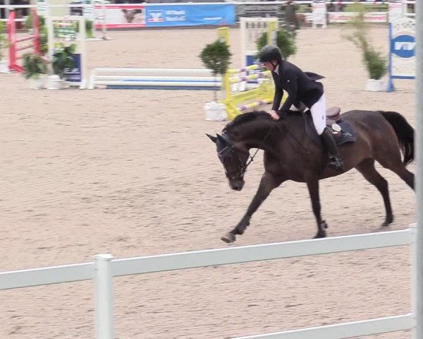 Reitturnier Ladelund 2020