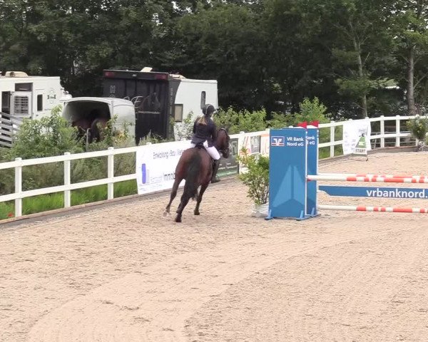 Reitturnier Ladelund 2020