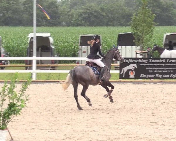 Reitturnier Ladelund 2020